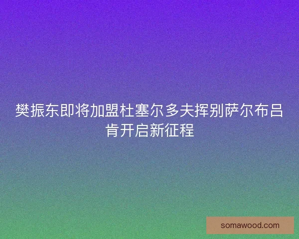 樊振东即将加盟杜塞尔多夫挥别萨尔布吕肯开启新征程