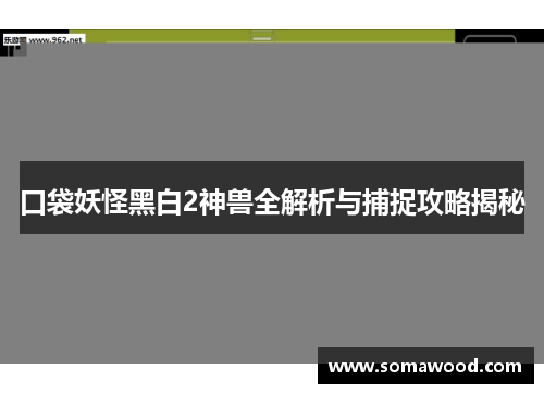 口袋妖怪黑白2神兽全解析与捕捉攻略揭秘