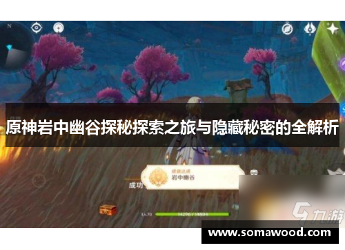 原神岩中幽谷探秘探索之旅与隐藏秘密的全解析