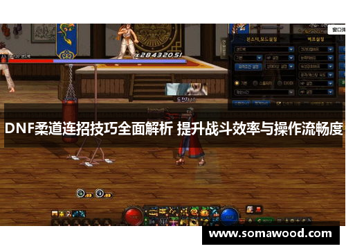 DNF柔道连招技巧全面解析 提升战斗效率与操作流畅度